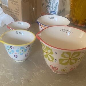 Creative Co-Op Colorful Rim Measuring Cups